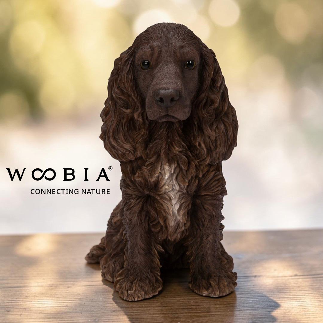 WooBia - Anglický kokršpaněl (Var."A")