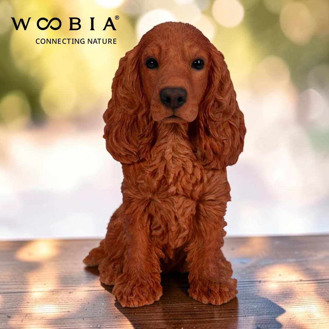 WooBia - Anglický kokršpaněl (Var."B")