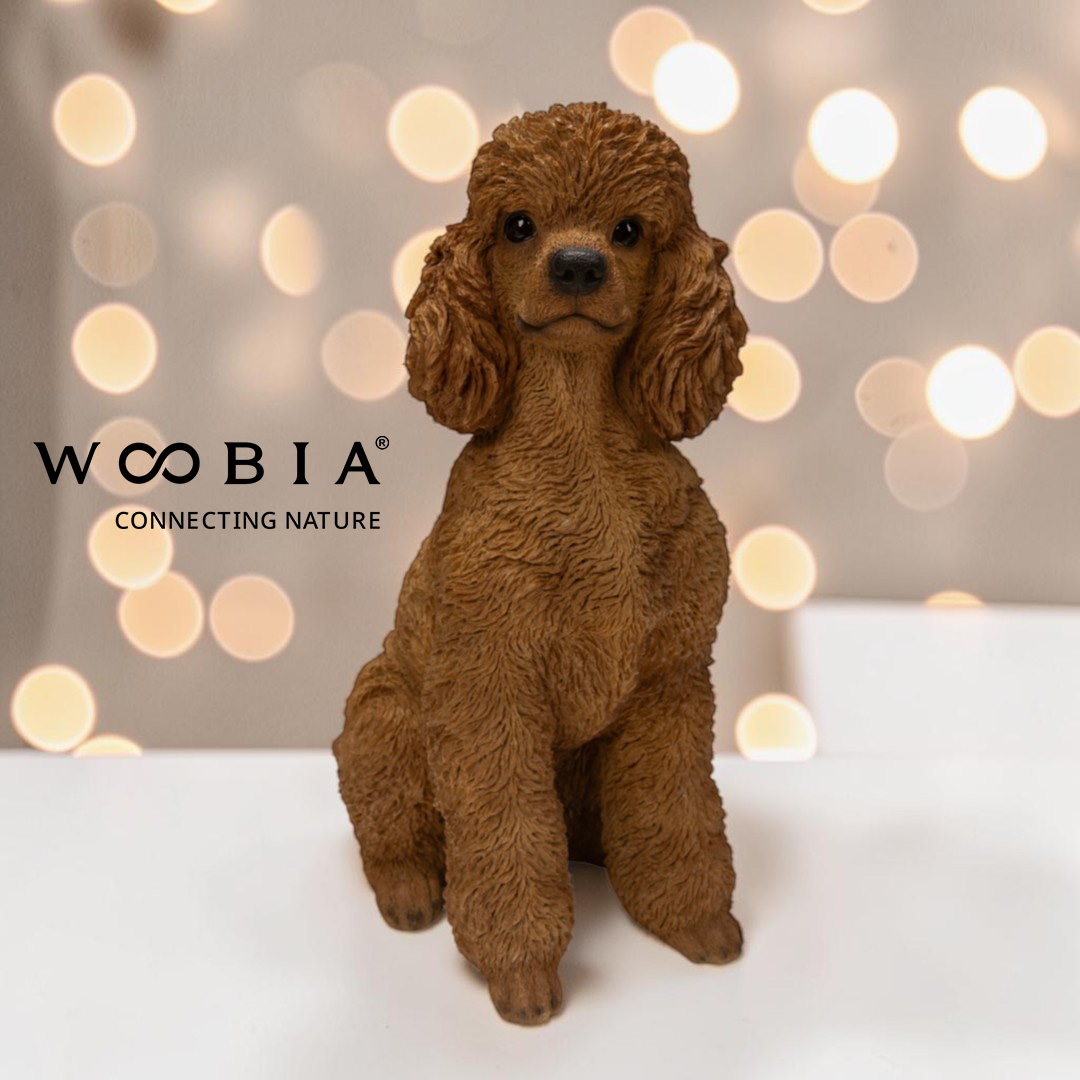 WooBia - Pudl (Var."D")