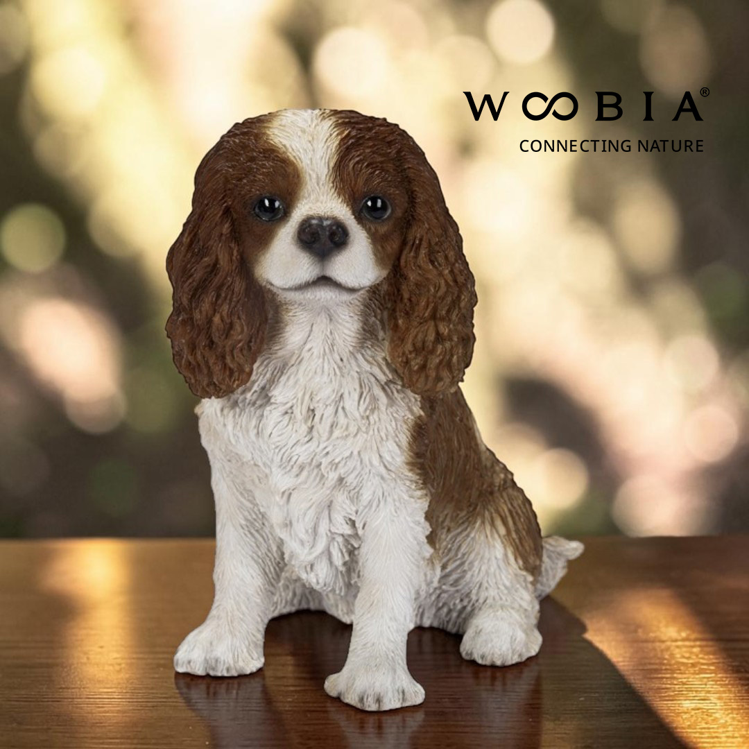 WooBia - Kavalír King Charles španěl (Var."A")