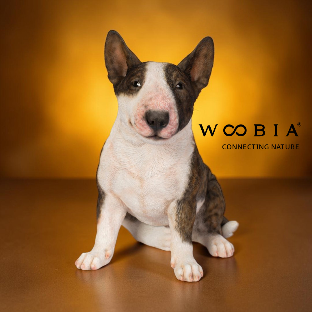 WooBia - Anglický bulteriér (Var."A")