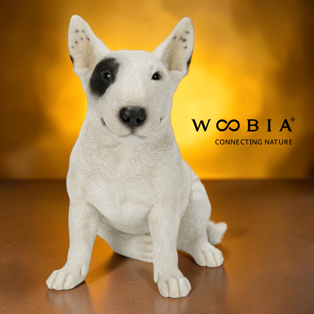 WooBia - Anglický bulteriér (Var."B")