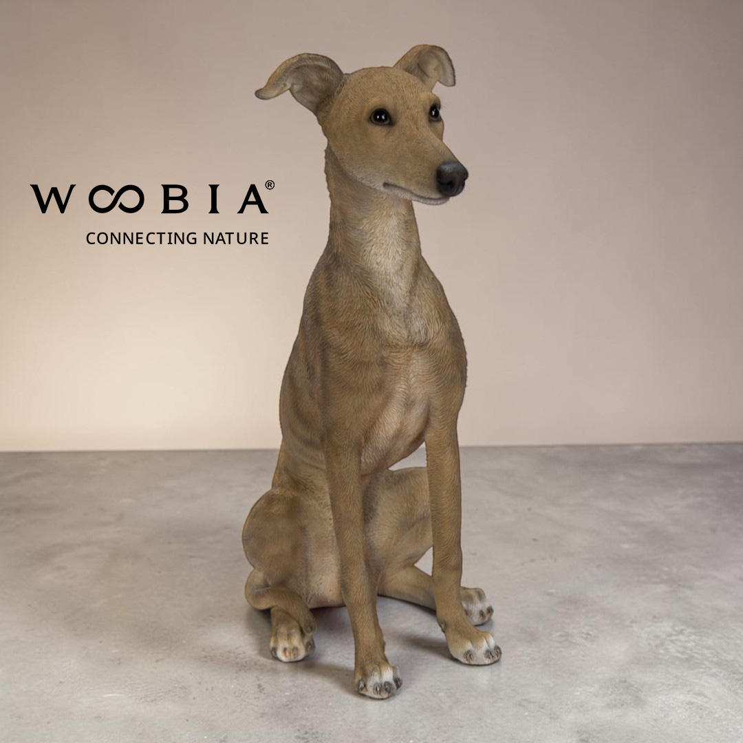 WooBia - Vipet (Var."A")