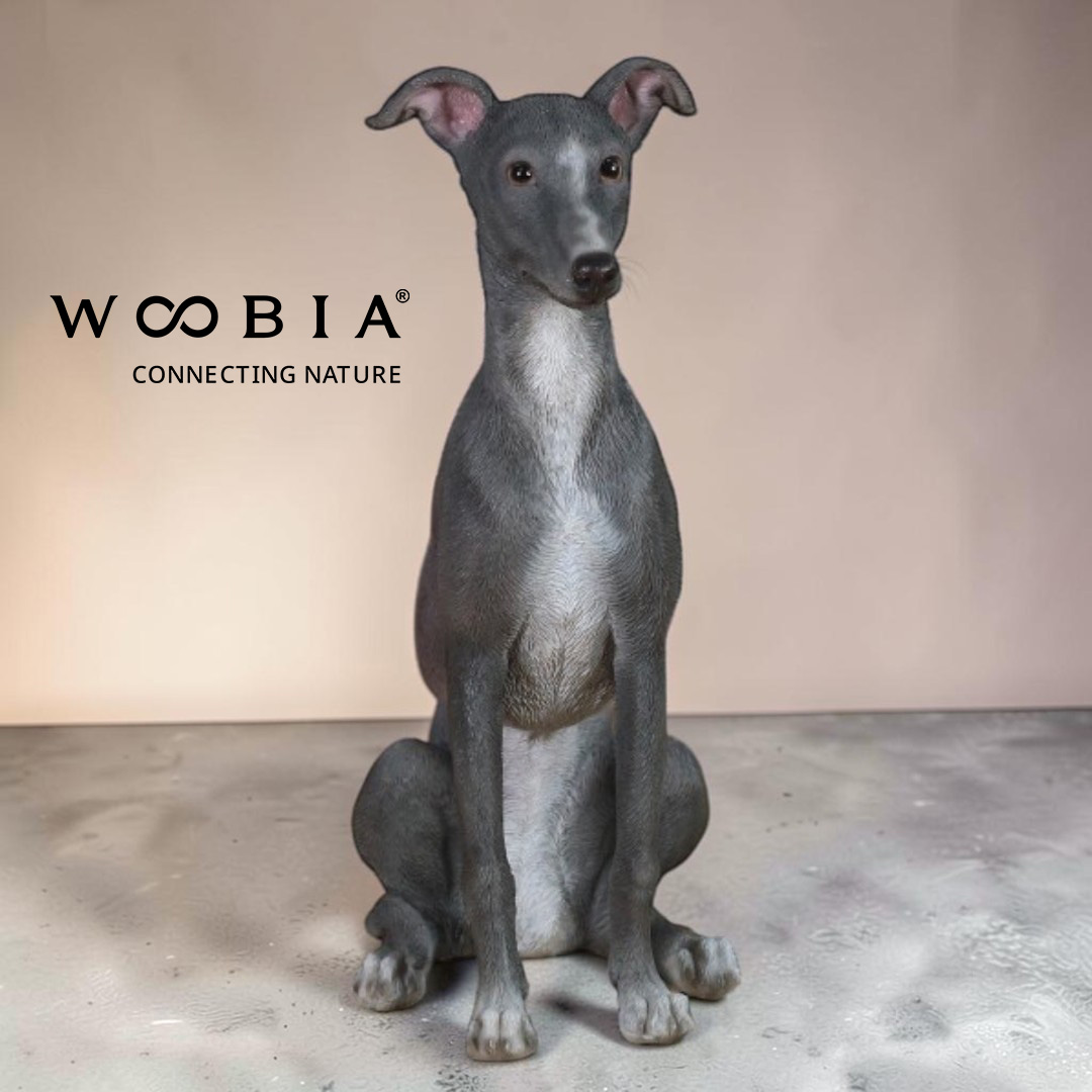 WooBia - Vipet (Var."B")
