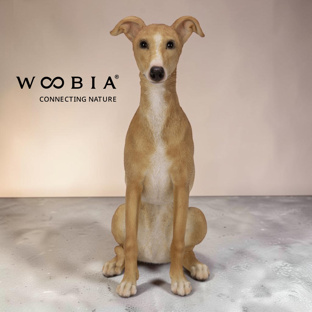 WooBia - Vipet (Var."C")