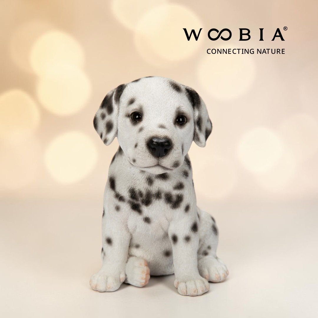 WooBia - Dalmatin (Var."A")