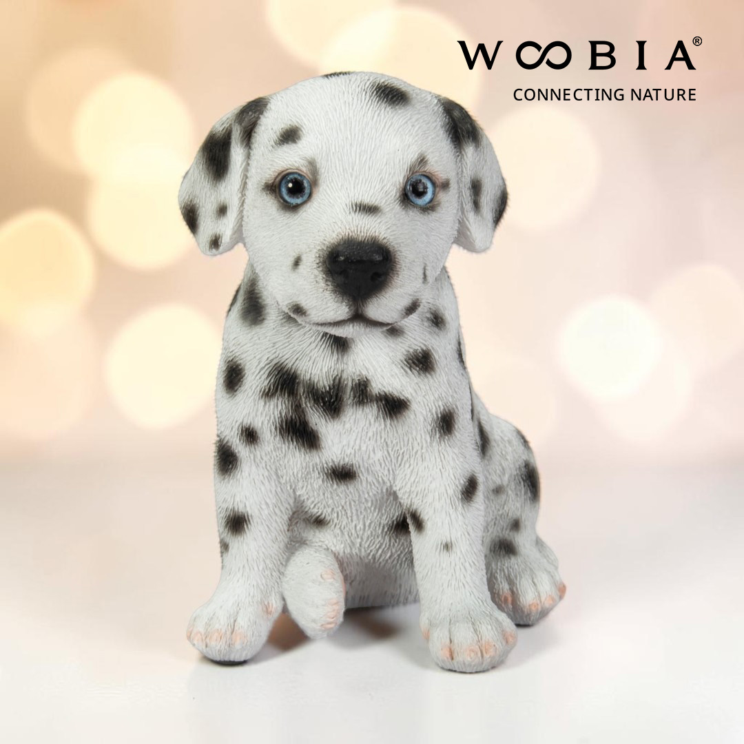 WooBia - Dalmatin (Var."B")