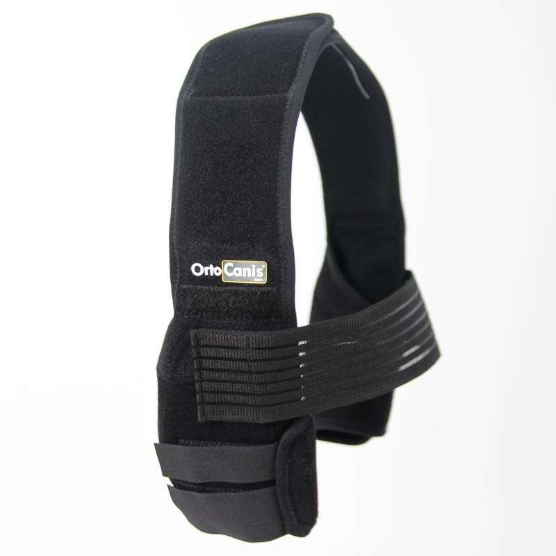 Ortocanis Loketní ortéza Velikost: XS