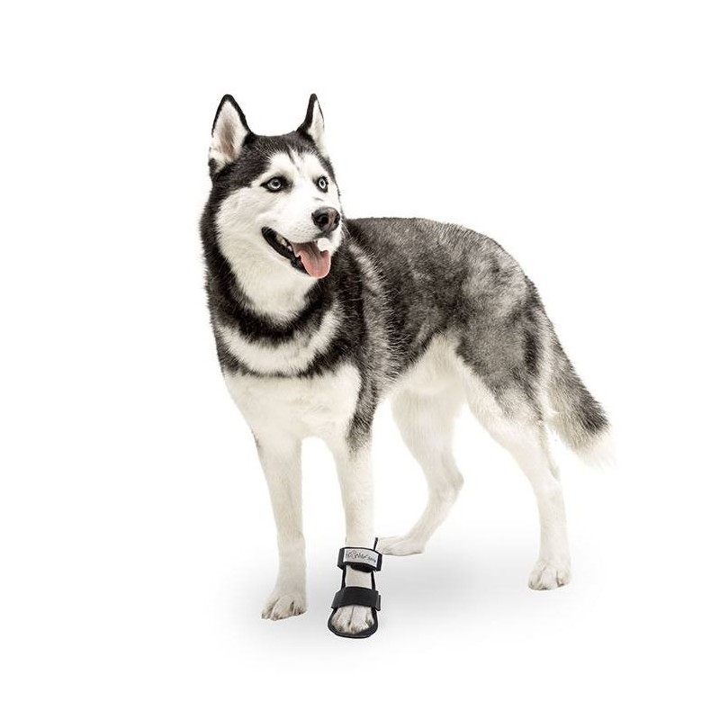 Ortocanis Dlaha s botičkou na spodní část tlapky Velikost: S