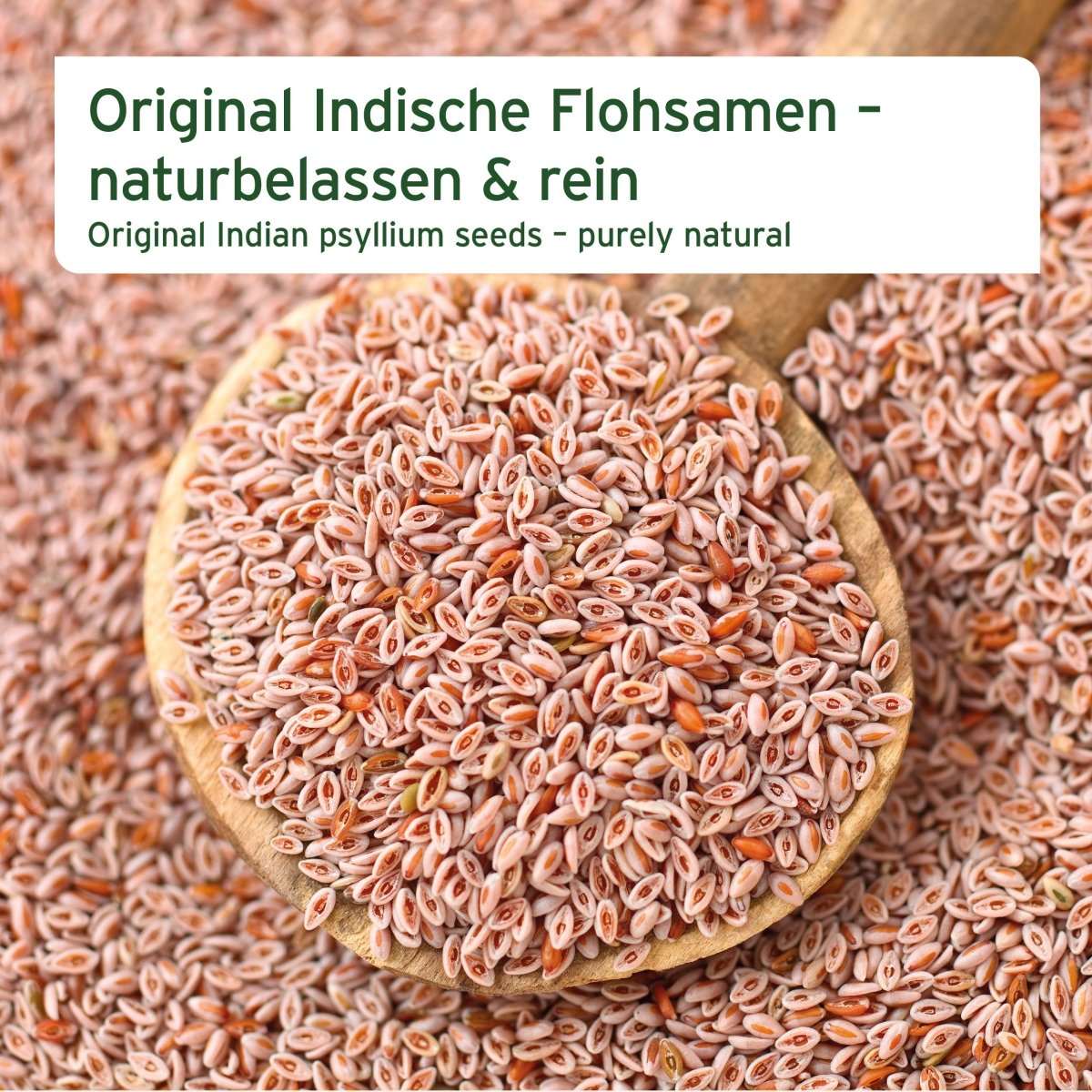 AniForte Indické psyllium (Jitrocel indický) pro koně a poníky (3 kg)