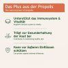 aniforte-propolis-v-prasku-pro-psy-a-kocky-20g-ucinky