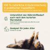 aniforte-kapsle-wermix-pro-psy-50-kapsli-ucinky