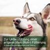 olizujici-se-pes