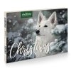 Galeriebilder Adventskalender Hunde Produktbild 2023 1200x1200