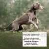reavet-vyvinuto-s-odborniky