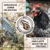drubez-a-korysi-gammarus