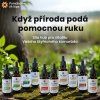 ex-silva-vitalni-houby
