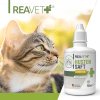 hustensaft tropfen katzen 50ml~6