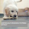 stene-s-kosti