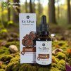 ex-silva-chaga-pes-kocka-30ml