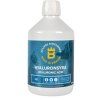 eclipse-biofarmab-tekuta-kyselina-hyaluronova-pes-kocka-500ml