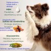suplemento para las articulaciones del perro (2)
