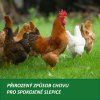 prirozeny-zpusob-chovu-drubez