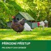 pastva-pro-drubez