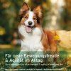 Galeriebilder Gelenktabletten7 3000x