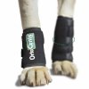 dog carpal wrap (6)