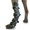 rear leg splint