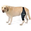 dog knee brace (2)