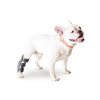 hock splint dogs (2)
