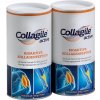collagile active 2er gross