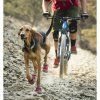 ruffwear-boty-pro-psy-grip-trex-v-terenu