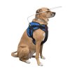 harness for blind dog (3)