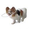 harness for blind dog