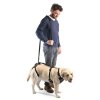dog integral harness