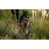 ruffwear-postroj-flagline-pes-na-prochazce