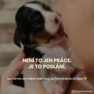 Není to jen naše práce – je to naše poslání 💚 Dnes bychom vám chtěli představit 3 lidi, kteří stojí za Pomáháme žít lépe....