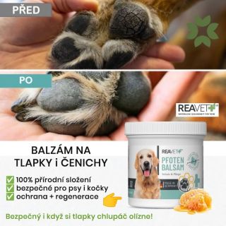 Suché tlapky nebo popraskaný čenich? V zimě trápí mazlíčky sůl a mráz❄️, v létě zase horký asfalt a písek☀️. REAVET Balzám...