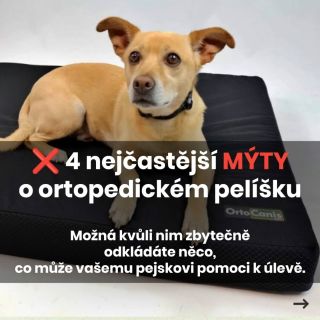 Bolest kloubů u psů nevzniká ze dne na den. Začíná nenápadně – pomalejším vstáváním, delším protahováním nebo tím, že si...