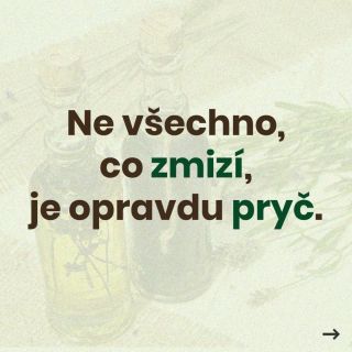 Mnohdy vidíme, že příznaky mizí… a máme pocit, že je všechno vyřešené🐾. Ale tělo nám stále něco říká. Naturopatie pro...