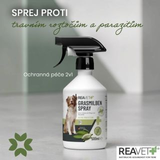 Včera jsme psali něco málo o pylové sezóně a dneska další jarní/letní “radost” – travní roztoči 🐾🌿. V případě obtíží...