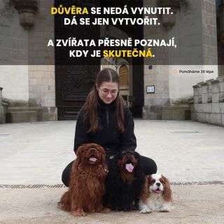 Důvěra není něco, co si vezmeme silou. Nevzniká tlakem ani kontrolou. Roste potichu. Ve chvílích, kdy jsme klidní,...