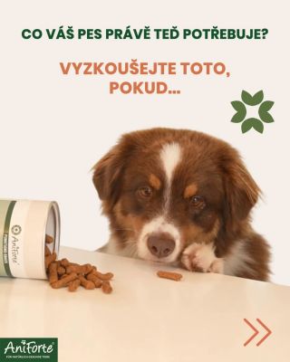 Každý pes je jedinečný ... 🐶. S našimi funkčními pamlsky je to snadné: jsou super chutné, praktické v každodenním životě a...