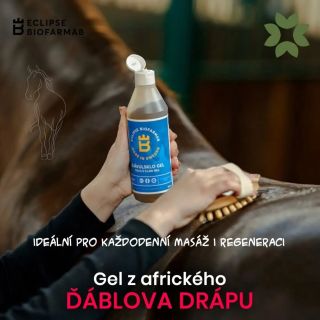 Každý trénink, každá vyjížďka i každá soutěž jsou pro koňský pohybový aparát zátěží. Stejně jako my, si i koně po fyzické...