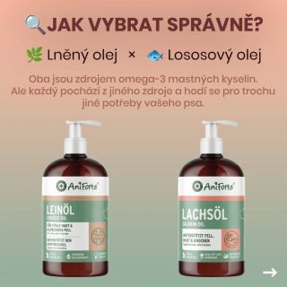 🌿 Lněný olej nebo 🐟 Lososový olej? Možná si říkáte, že olej jako olej. Ve skutečnosti mezi nimi ale existuje několik...