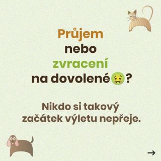 Věděli jste, že jilmovou kůru nemusíte vždy připravovat doma? Jilmová kůra je mezi chovateli psů a koček známá jako...