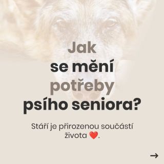 Stárnutí je přirozenou součástí života každého psa 🐾. S přibývajícím věkem se mohou měnit jeho potřeby. Může více...